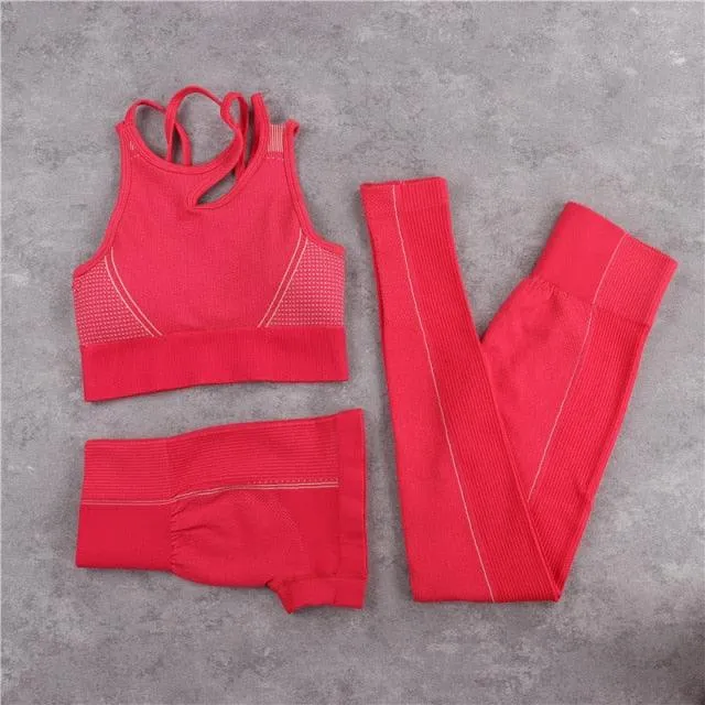 Sexy Women Casual Yoga Seamless Two Pieces Set - Tank Crop Top And Skinny Shorts - High Elastic Jogger Fitness Sporty Suit (2U24)(BAP)(TBL)