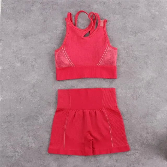 Sexy Women Casual Yoga Seamless Two Pieces Set - Tank Crop Top And Skinny Shorts - High Elastic Jogger Fitness Sporty Suit (2U24)(BAP)(TBL)